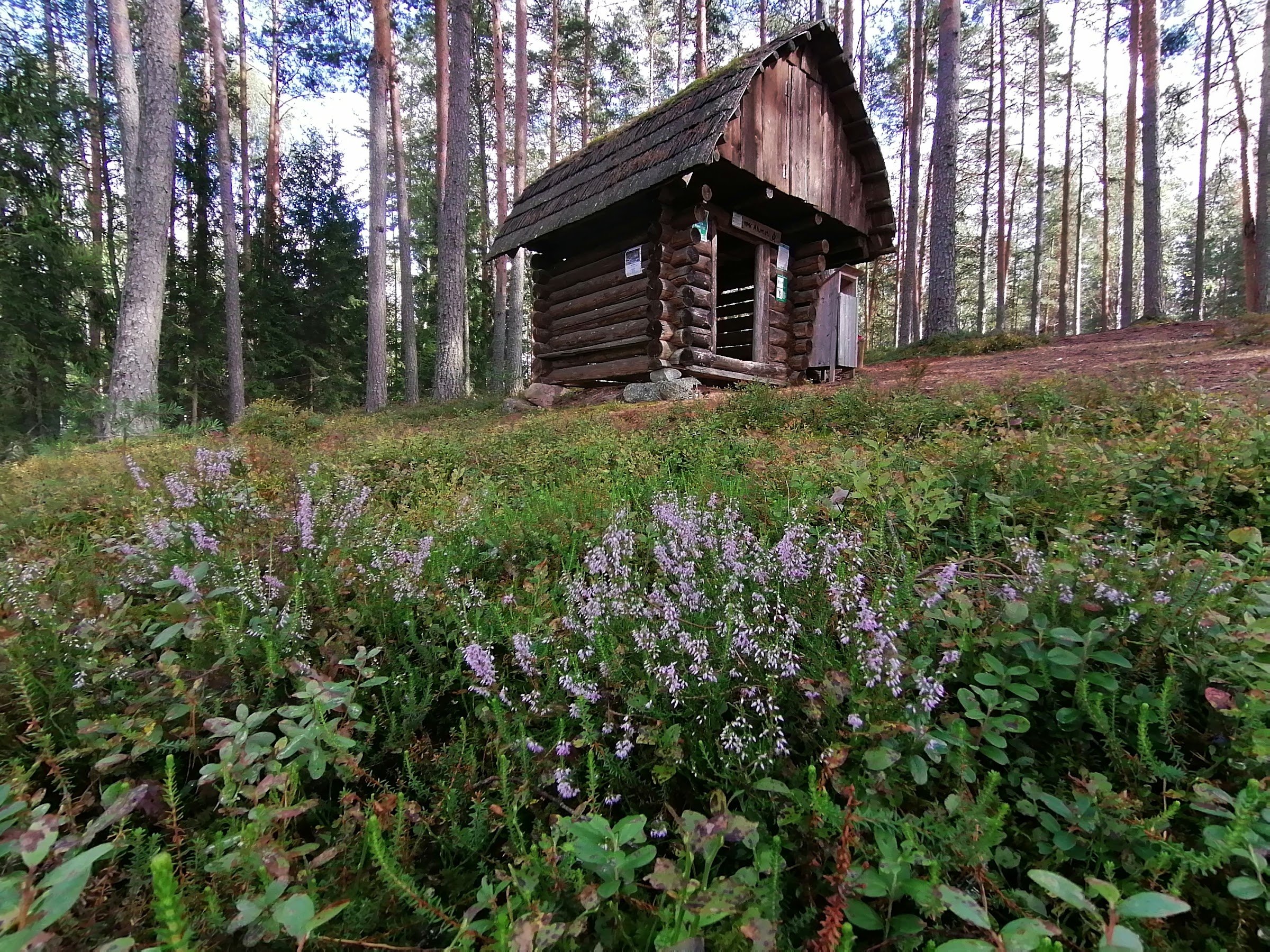 RMK Alumati lõkkekoht